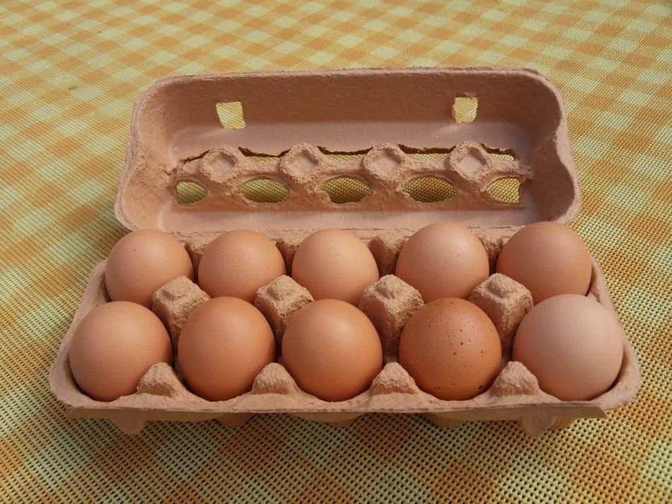 example of wet-molded paper packaging