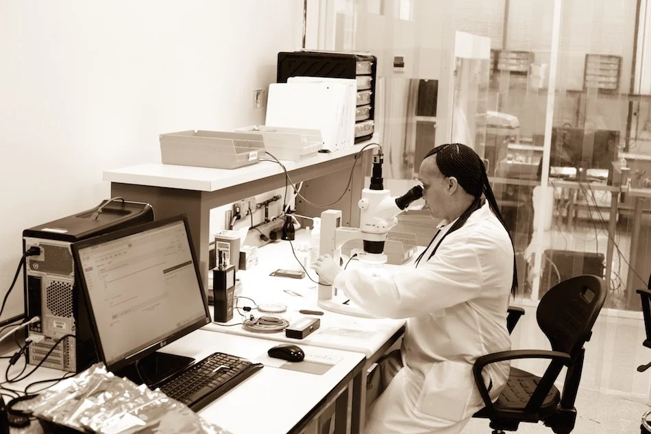 Lab scientist