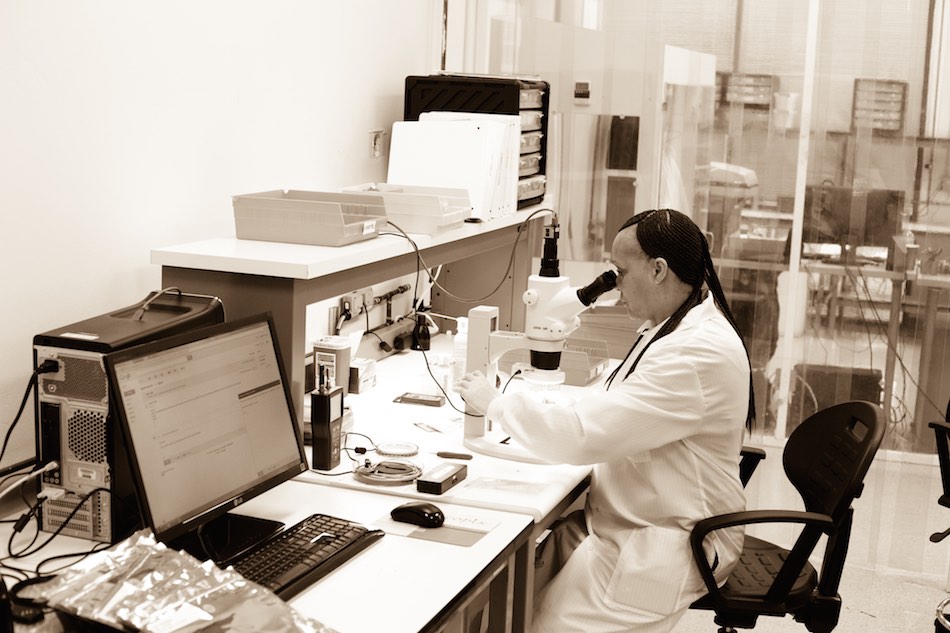 Lab scientist