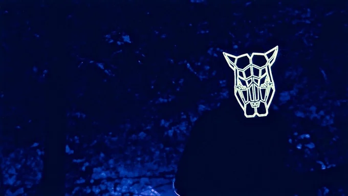 The sound reactive mask