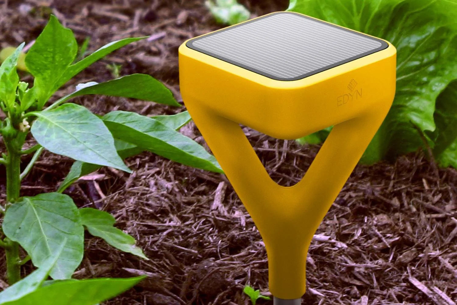 56be6198bbe024443d4b08e2_021216-edyn - Fictiv Edyn smart soil sensor