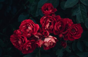 Celebrating Hispanic Heritage Month at Fictiv