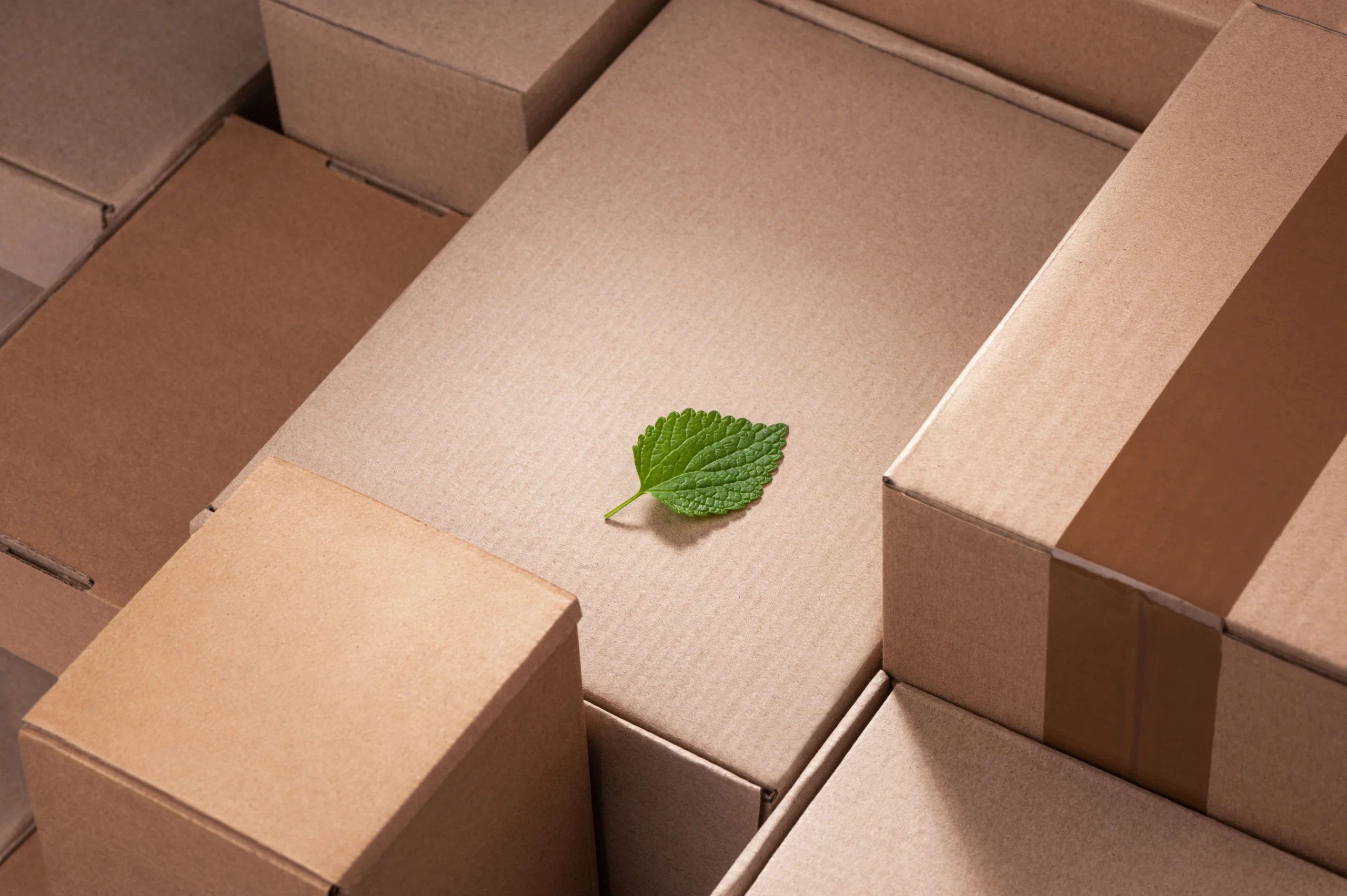 Fresh,Green,Leaf,Laying,Between,Cardboard,Boxes.,Shipping,Deliveries,,Global - Fictiv Sustainable Packaging Post-CNC Machining