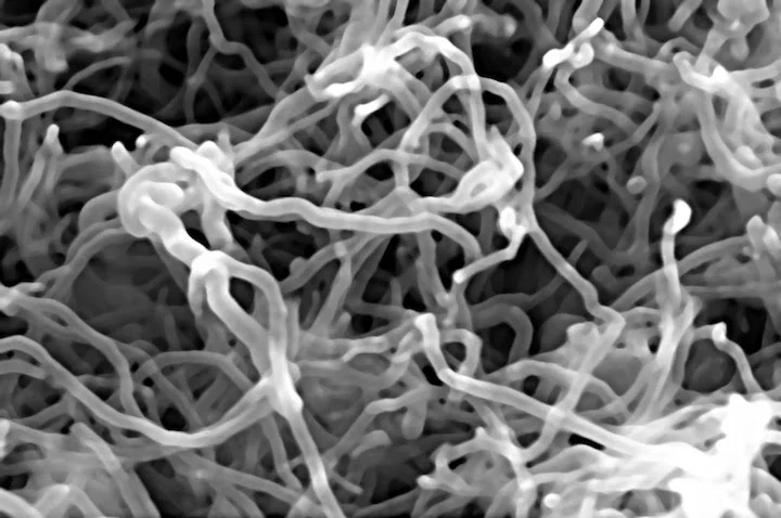 Electron-microscope-image-of-a-nanotube-bundle - Fictiv Electron microscope image of a nanotube bundle