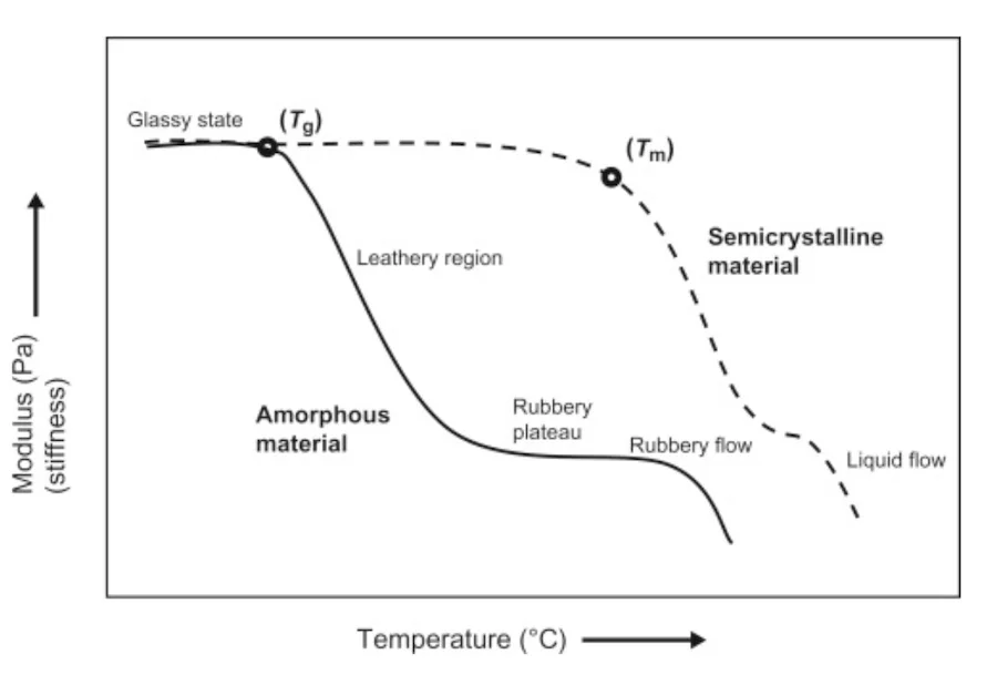 Softening and Melting Behavior of Amorphous and Semi-Crystalline Materials