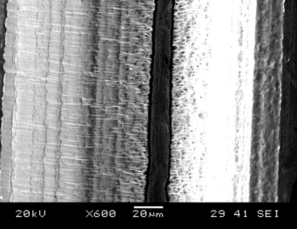 SEM image I captured of a ductile material