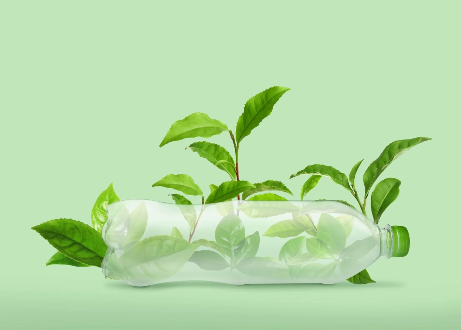 Smarter design drives sustainability