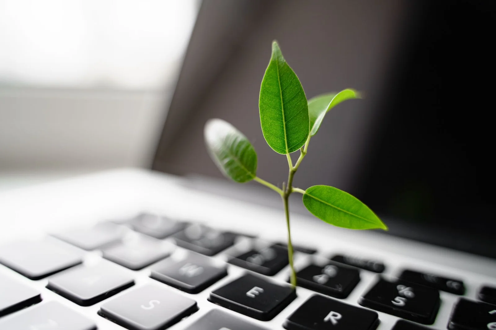 Sustainability starts in the design phase
