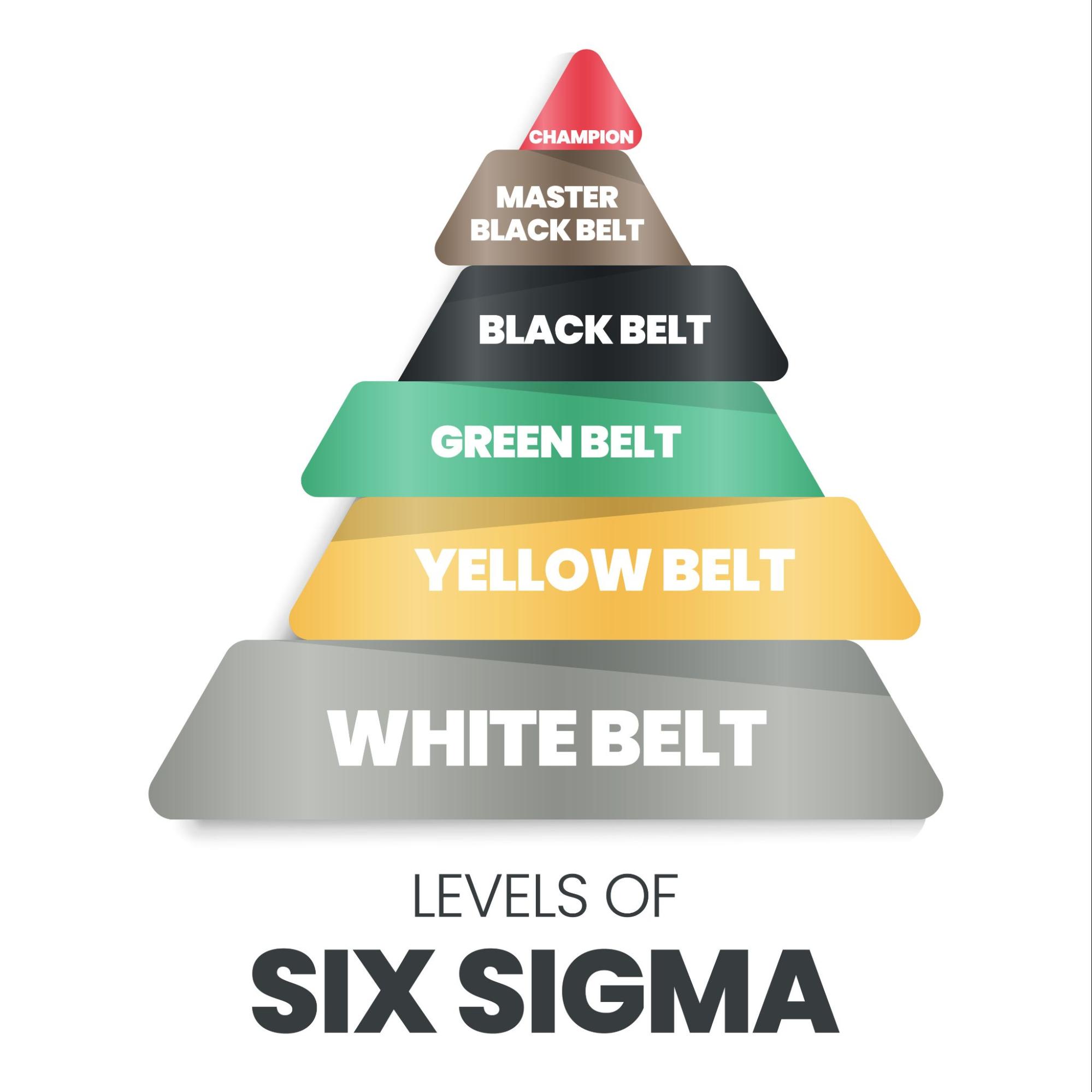 six sigma belts - Fictiv Six Sigma Belts and Certification Levels